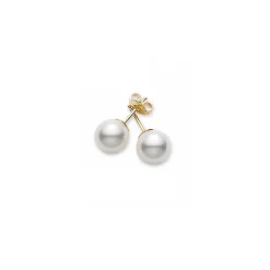 Akoya Stud Earrings in Yellow Gold