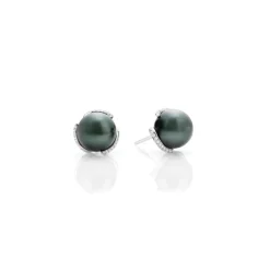 Black South Sea Cultured Pearl Embrace Earrings