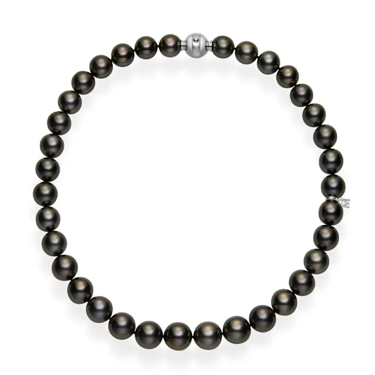 Black South Sea Cultured Pearl Strand
