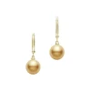 Golden South Sea Cultured Pearl Earrings  – 18K Yellow Gold