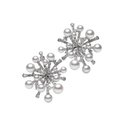 Splash Collection Earrings